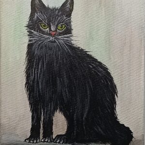 Черна котка 972